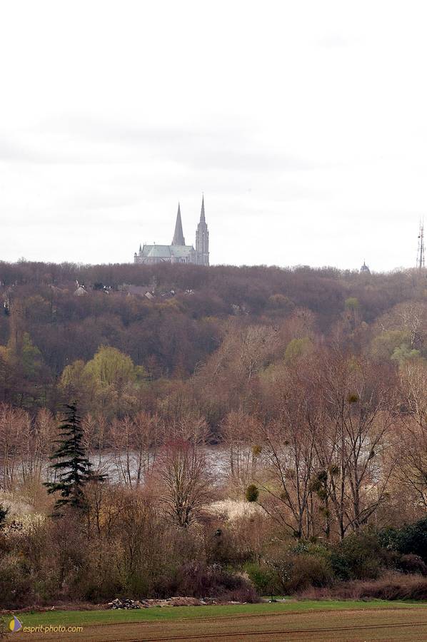 Nom de l'image : D1120175-01_(c)Norbert-JUNG — Description :  PËlerinage de Chartres 2004